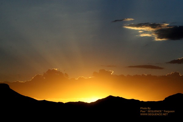 Evening Beauty