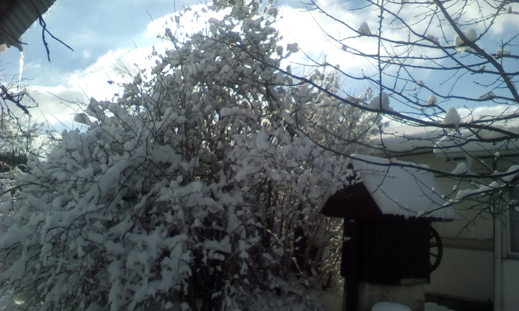 From my courtyard