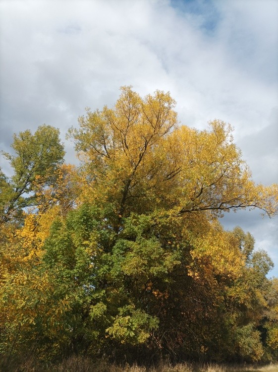 IMG 20231017 152033