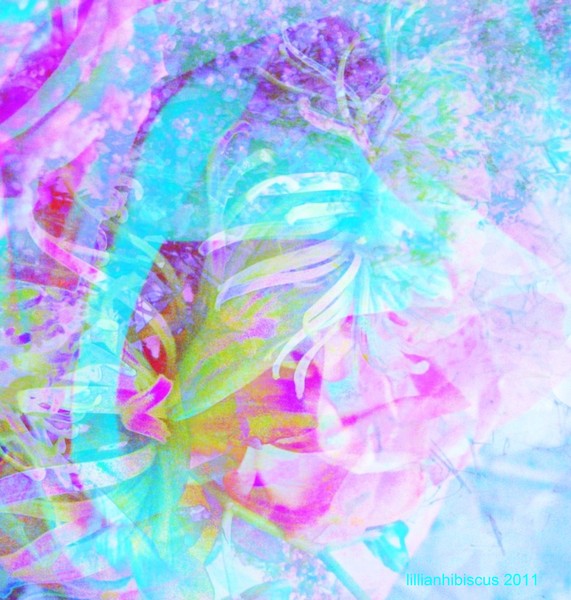Fantasy Floral