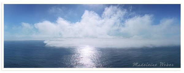 • Kerry Sea Fog I
