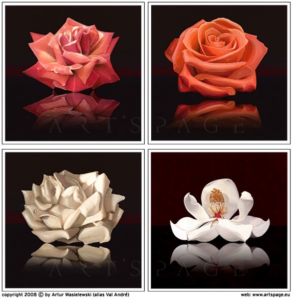 Black Flowers Collection
