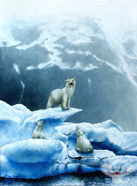 Polar Knowledge