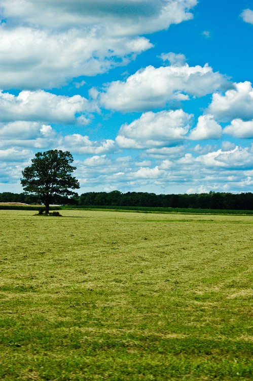 Country Horizon 1