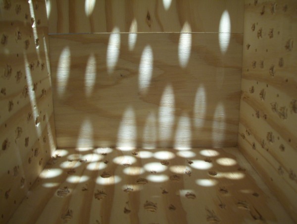 shadows