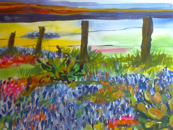 bluebonnets
