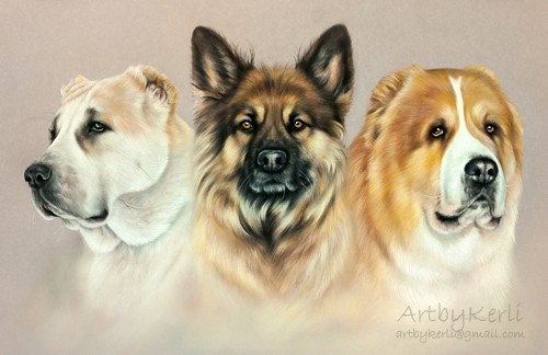 Ruhan, Rada & Kutchum