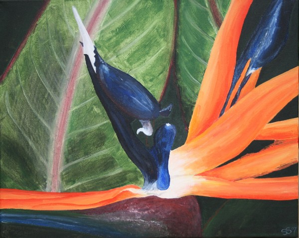 Bird of paradise 2