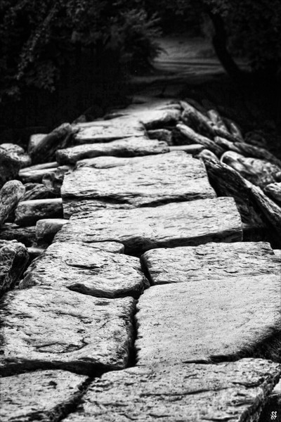 Bridge to enlightenment?