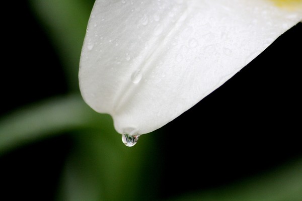 drop