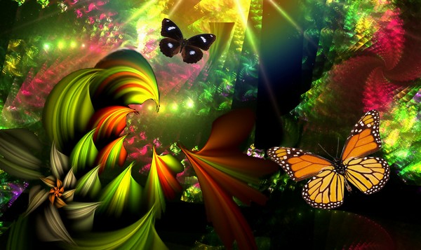 Tropical Fractal Forest