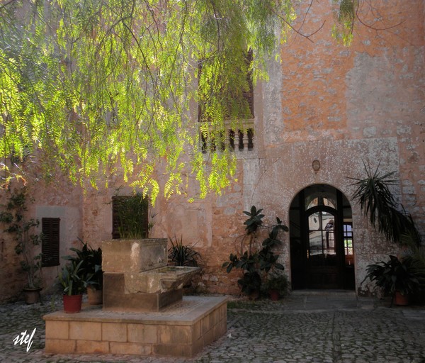 shady patio