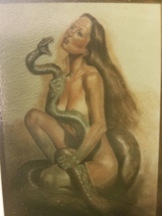 Transfiguration (copy of Boris VALLEJO )