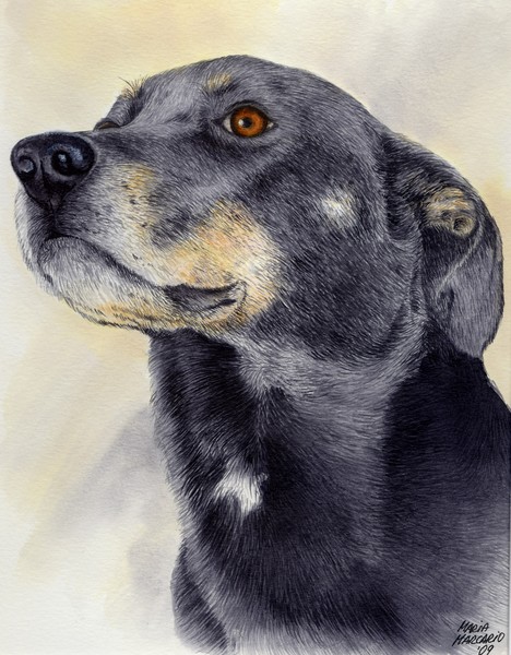 Portrait of Kelly