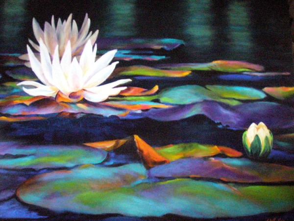 Waterlilies