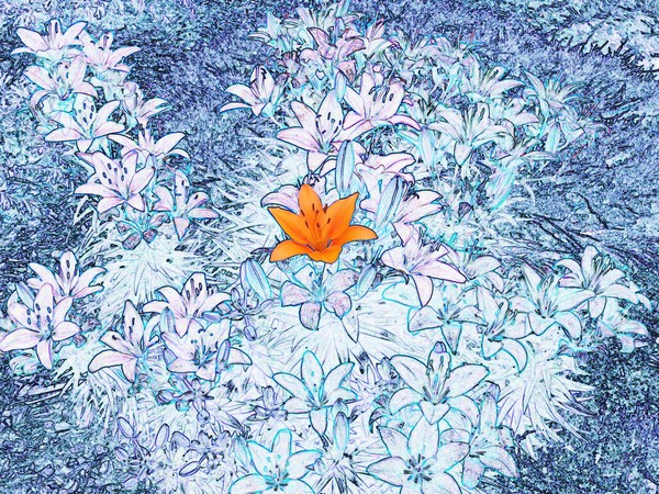 Essence of Nature 5
