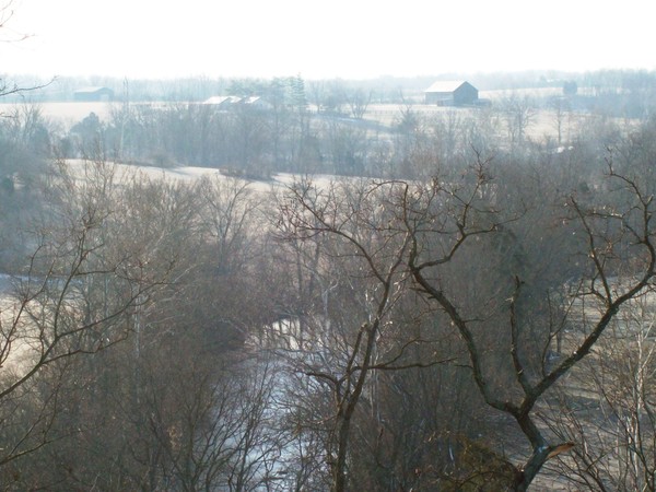 Snowy Jessamine Morning