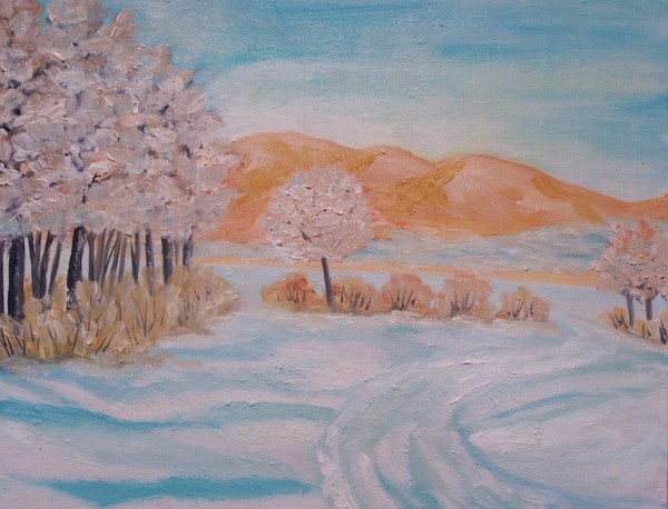 Winter on the field