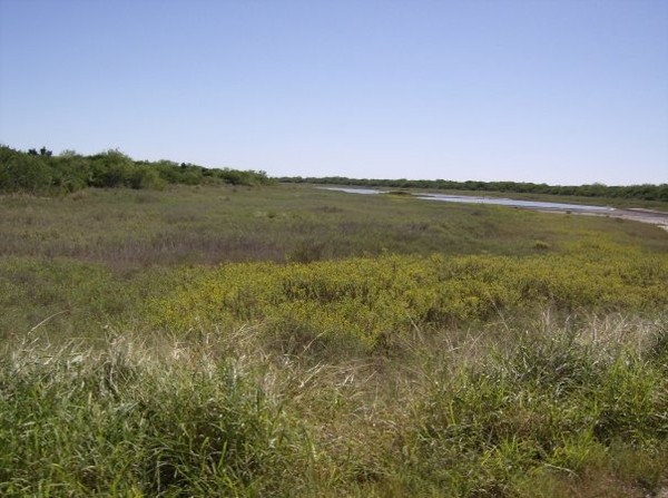 tidal flats