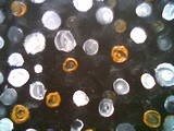 Coins