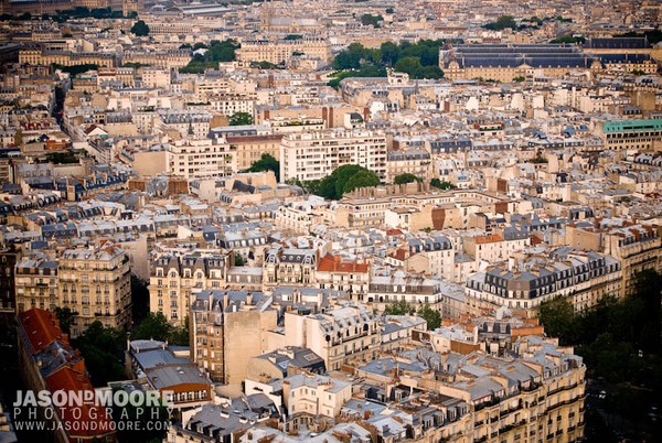 Paris from the Tower