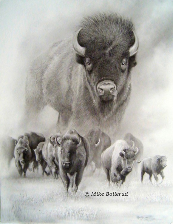Spirit of the Plains 