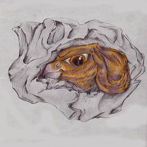 Paper Eagle