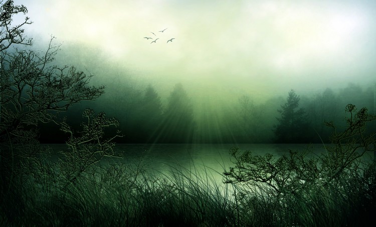 Grasslands