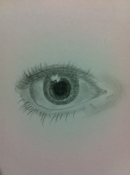 human eye