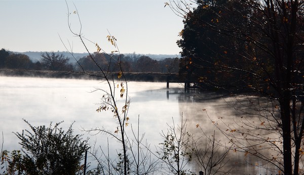 the dock