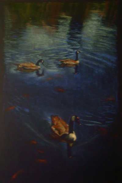 Geese and Goldfish