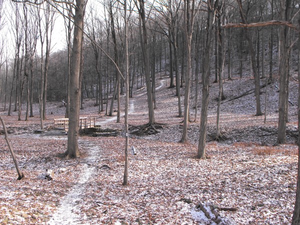 Mid winters stroll