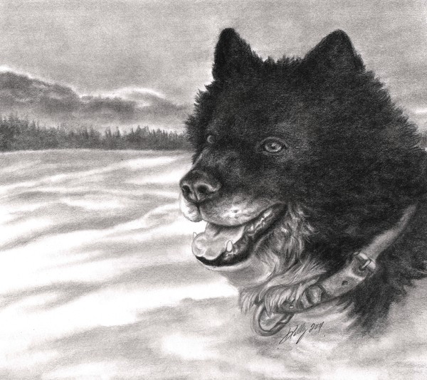 Snow Dog
