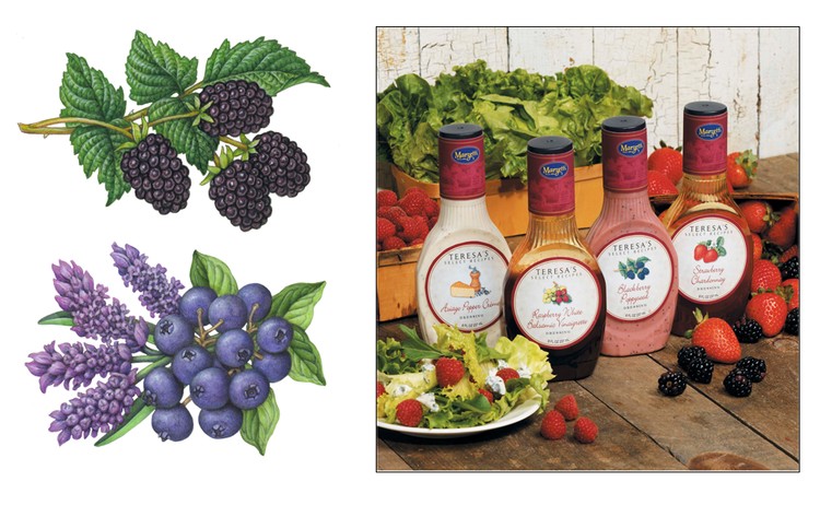 Blueberry, Lavender and Blackberry Illustrations for Marzetti 