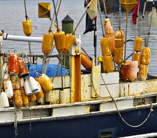 The Old Buoys