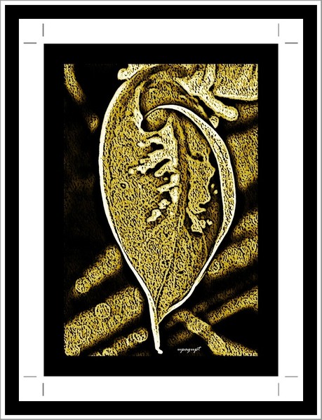 Nature's Inspired-Art Experiment