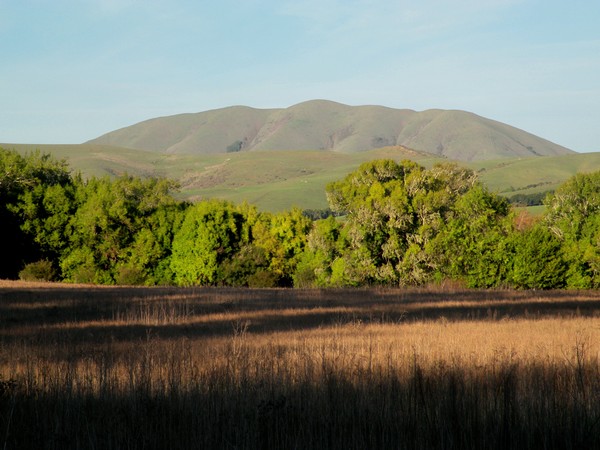 Elephant Mountain