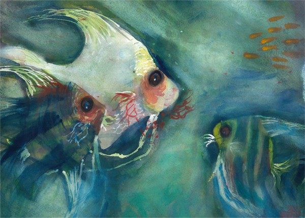 Angelfish Friends