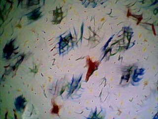 Graffiti