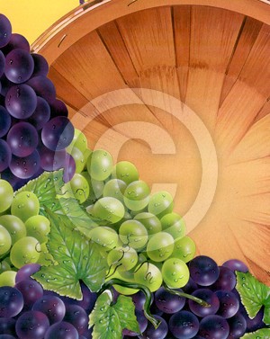 Grapebasket