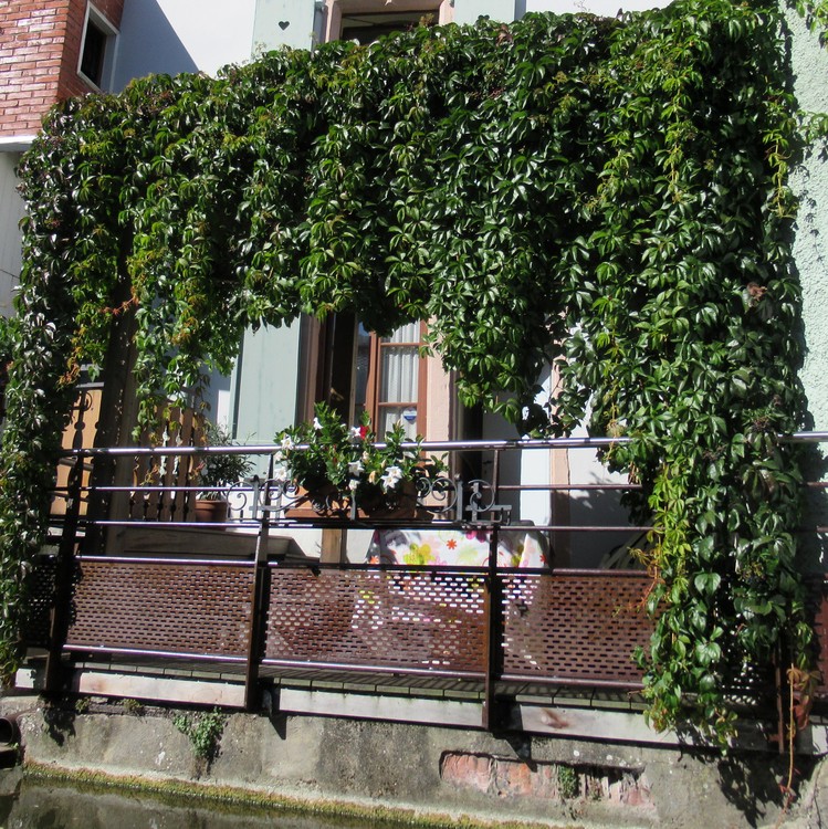 ALSACE, A NICE PLACE TO BE