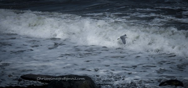 Catching a wave