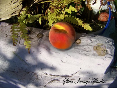 Peach-on the wall