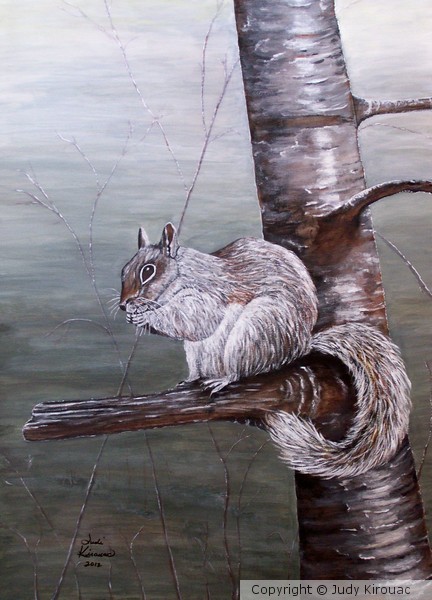Hungry Squirrel