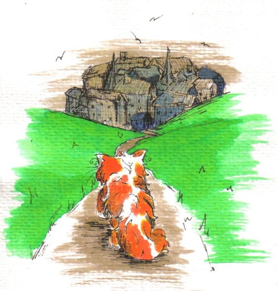 Kitten walking home