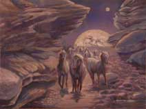 Be The Moons Mares Bay Gray or Chestnut
