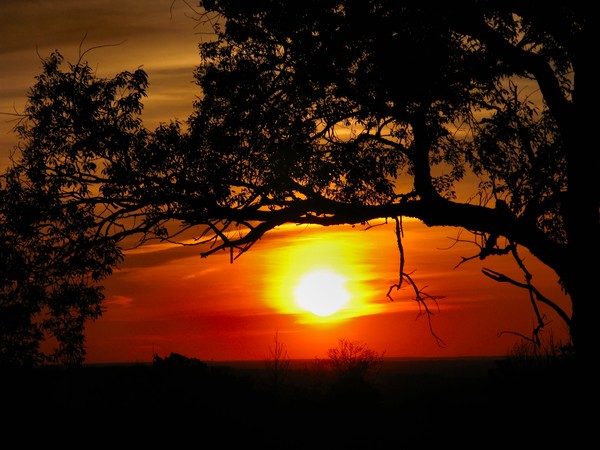 Mid summer sunset