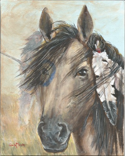 Indian Pony