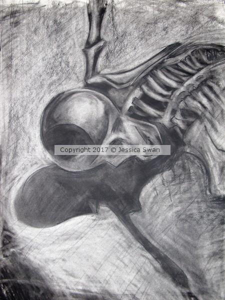 Skeleton Sketch #1