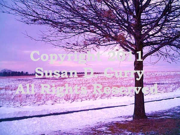 Scenic Winter Landscape